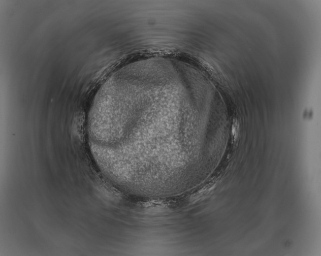 X0000090610867200707311220