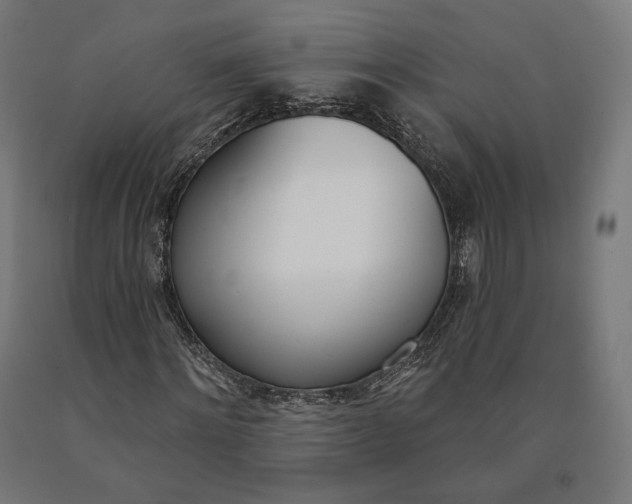 X0000090610868200707311220