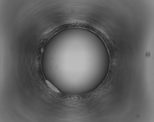 X0000090610869200707311220