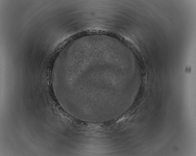 X0000090610870200707311220