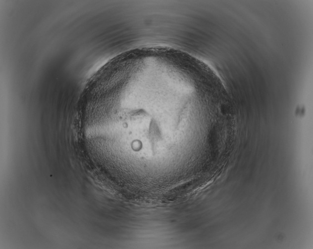 X0000090610871200707311220