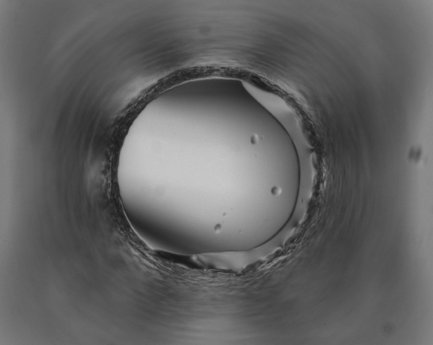 X0000090610872200707311220