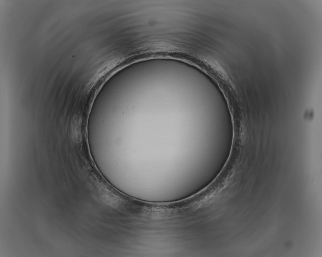 X0000090610873200707311220