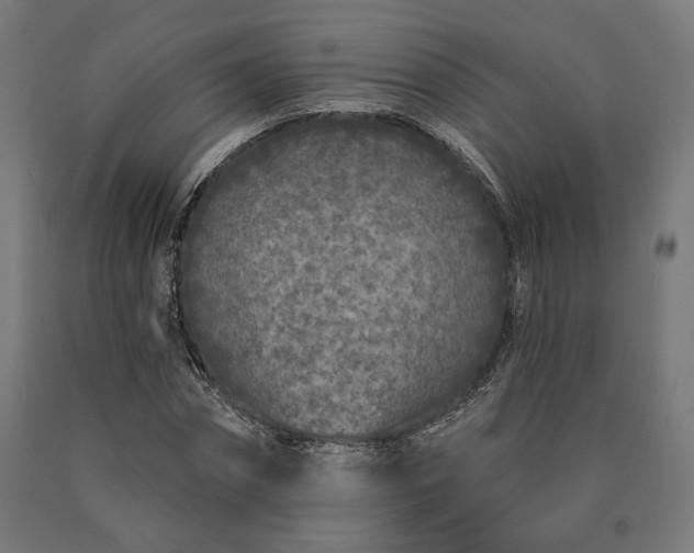 X0000090610874200707311220