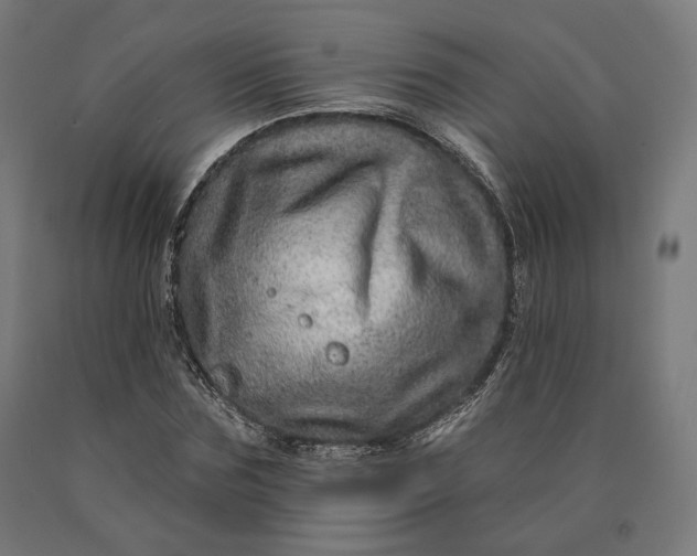 X0000090610875200707311220