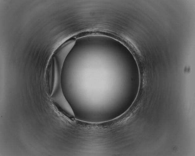 X0000090610876200707311220