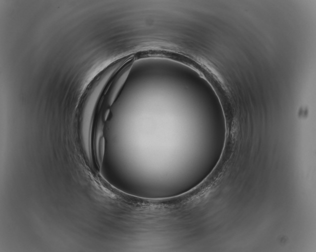 X0000090610877200707311220