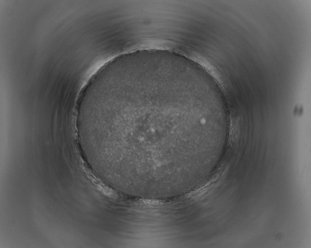 X0000090610878200707311220