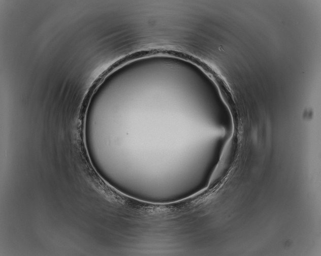 X0000090610879200707311220