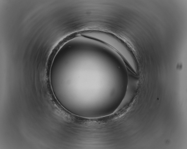 X0000090610880200707311220