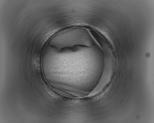 X0000090610881200707311220