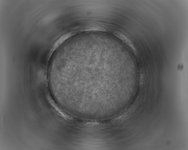 X0000090610882200707311220