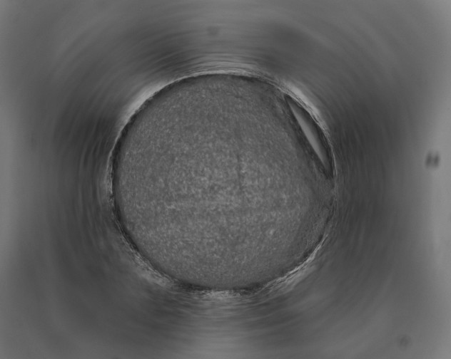 X0000090610883200707311220