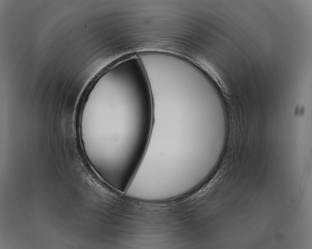 X0000090610884200707311220