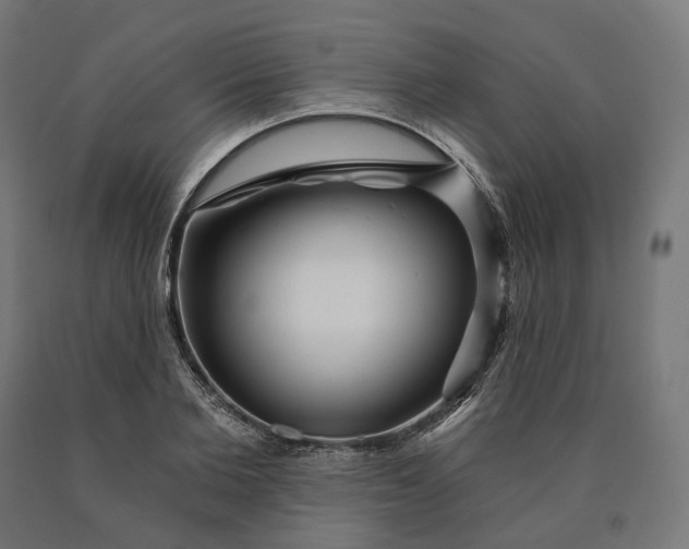 X0000090610885200707311220