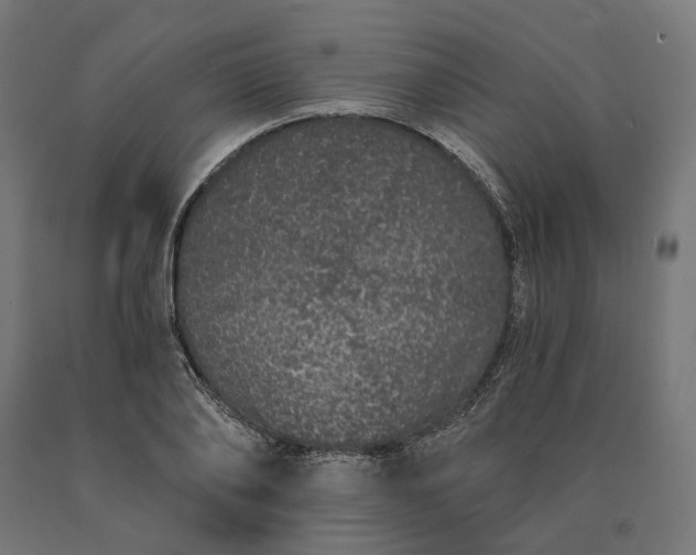 X0000090610886200707311220