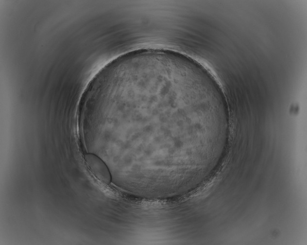 X0000090610887200707311220