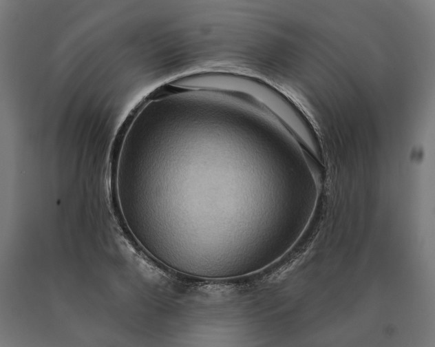 X0000090610888200707311220