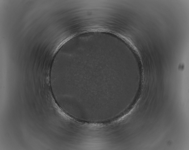 X0000090610889200707311220