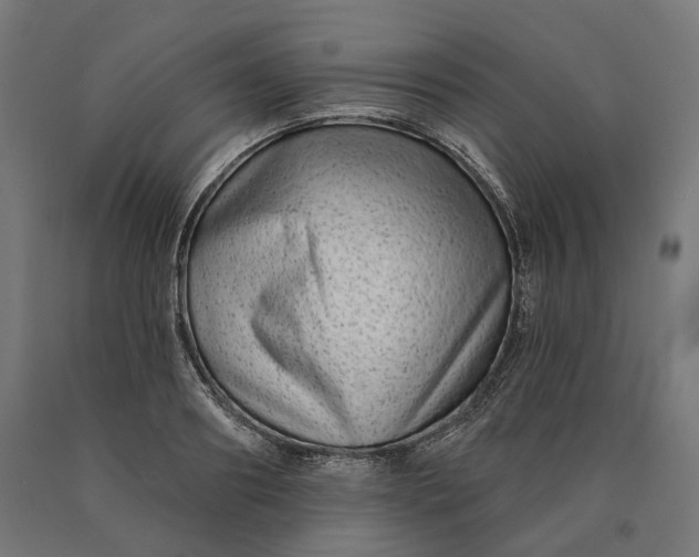 X0000090610890200707311220