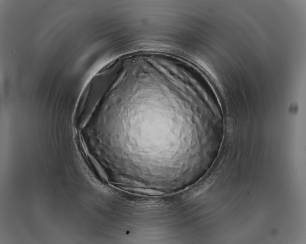 X0000090610891200707311220