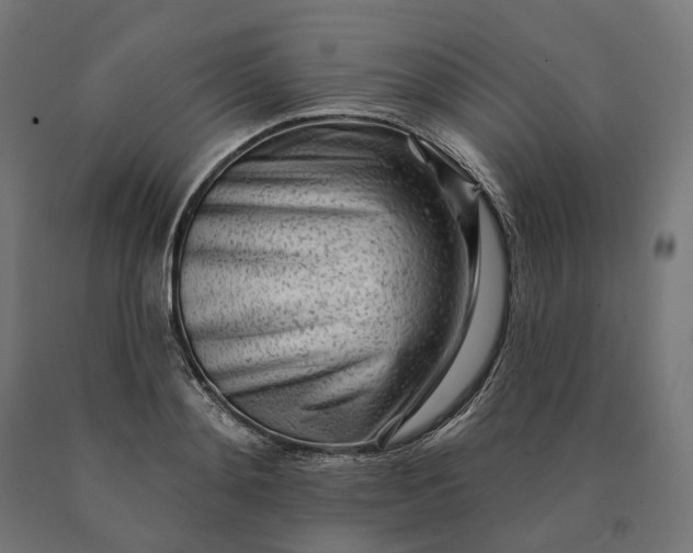 X0000090610892200707311220