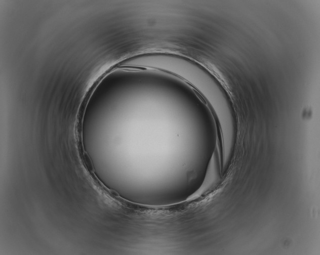 X0000090610893200707311220