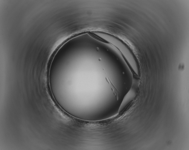 X0000090610894200707311220