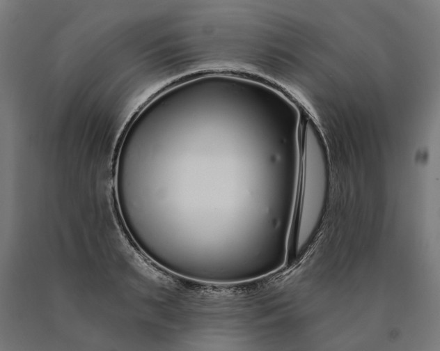 X0000090610895200707311220