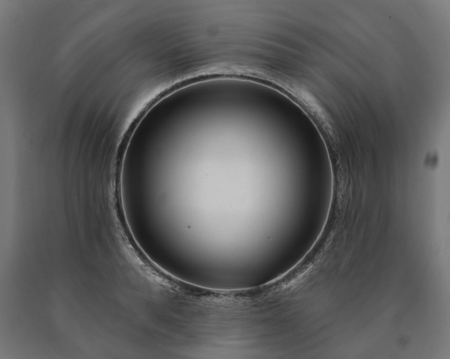 X0000090610896200707311220