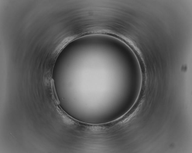 X0000090610897200707311220