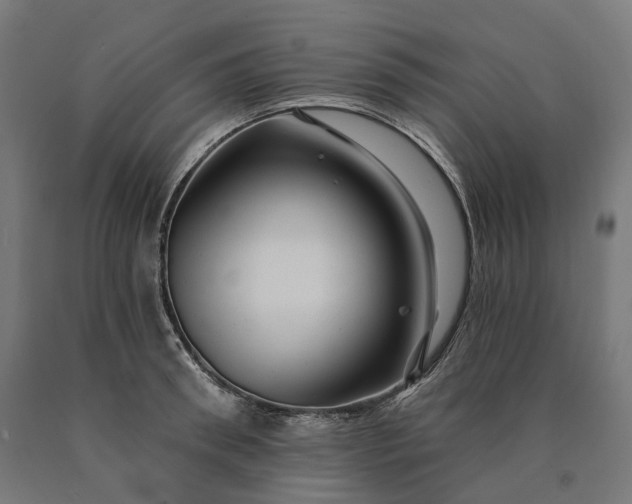 X0000090610898200707311220