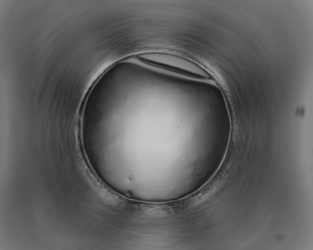 X0000090610899200707311220