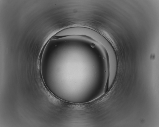 X0000090610900200707311220