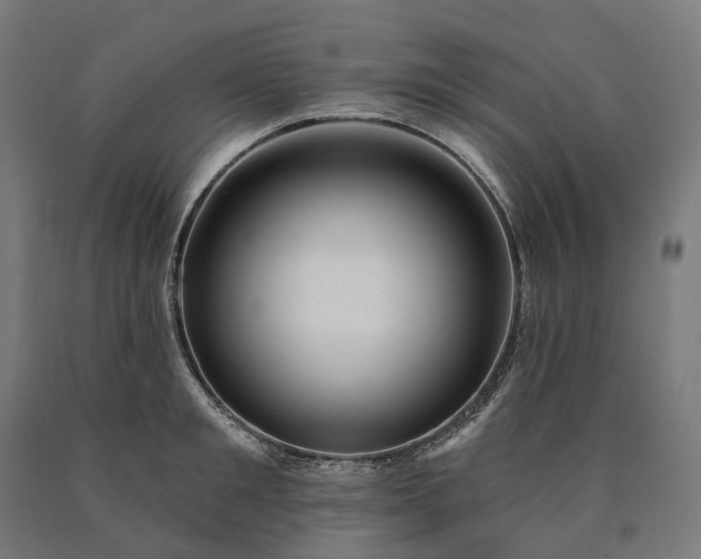 X0000090610901200707311220