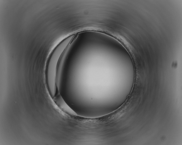 X0000090610902200707311220