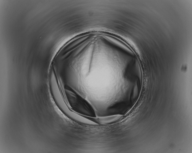 X0000090610903200707311220