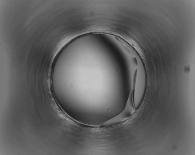 X0000090610904200707311220