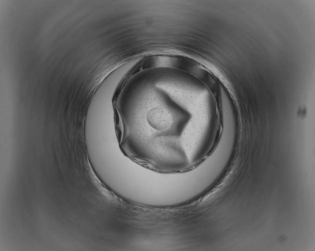 X0000090610905200707311220