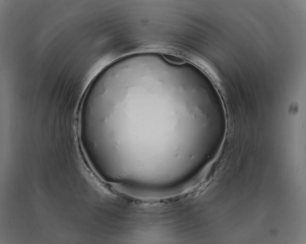 X0000090610907200707311220