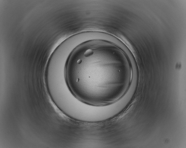 X0000090610909200707311220