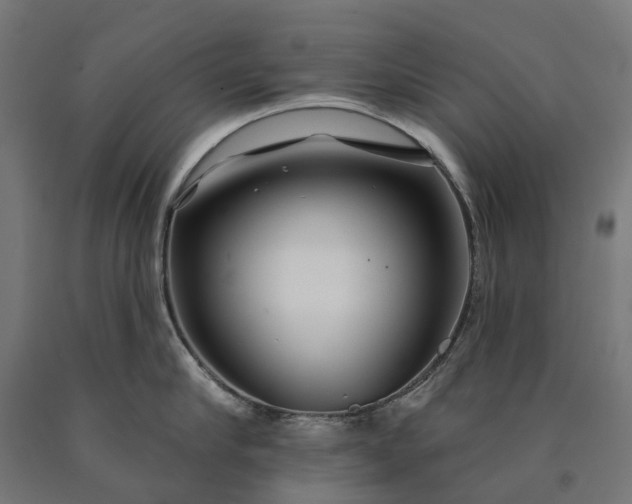 X0000090610910200707311220