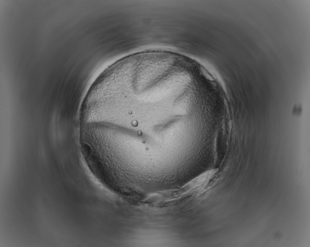 X0000090610911200707311220