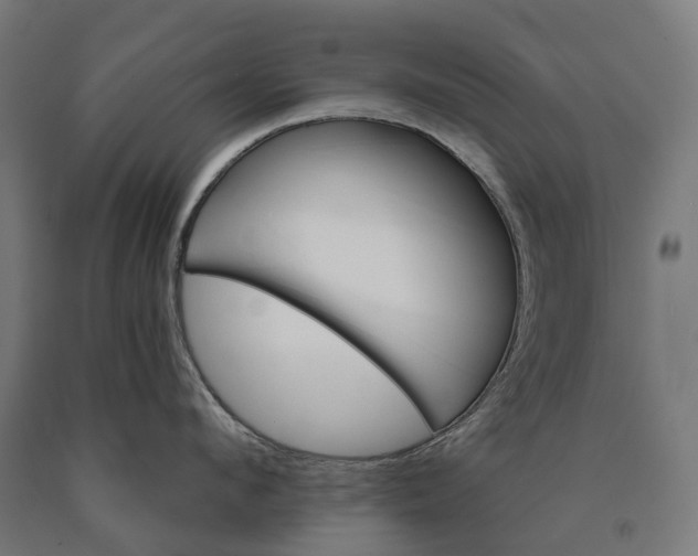 X0000090610912200707311220