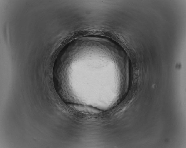 X0000090610913200707311219