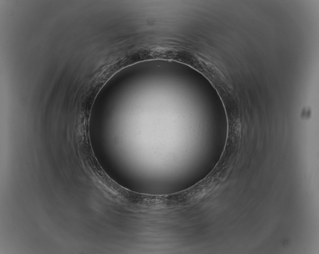 X0000090610914200707311219