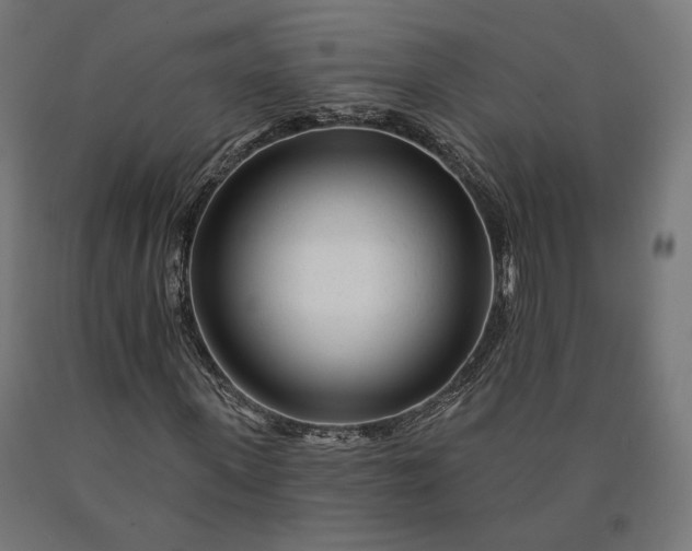 X0000090610915200707311219