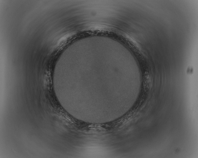 X0000090610918200707311219