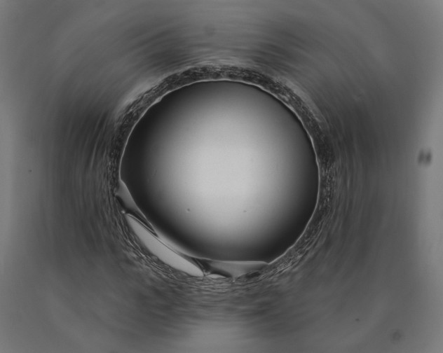 X0000090610919200707311219