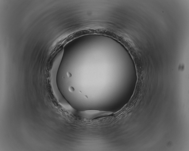 X0000090610920200707311219